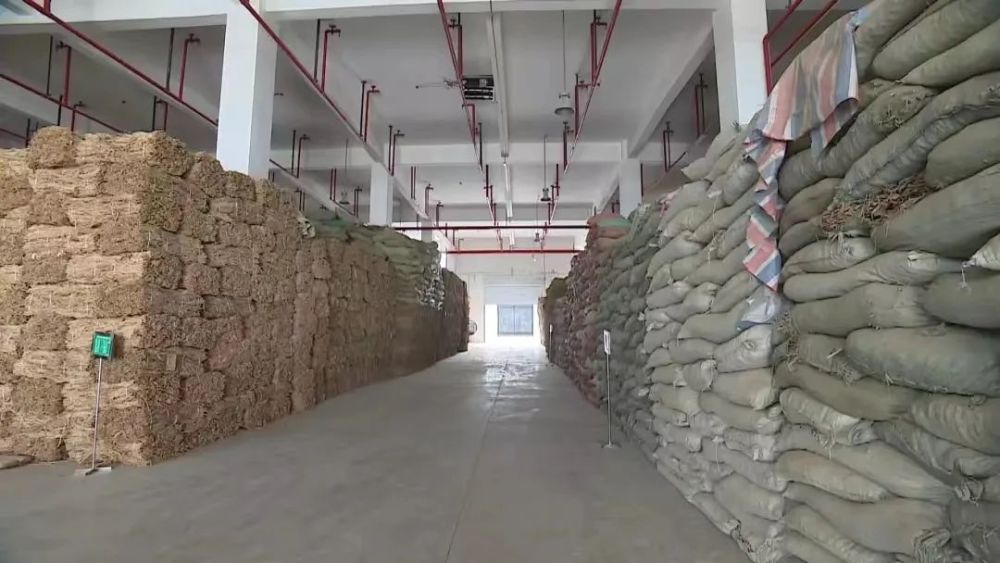 【中医药发展看陇西】"中国药都"处处药香 中药材