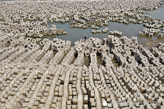 重庆长江边的"乱石阵"浮出水面,场面壮观