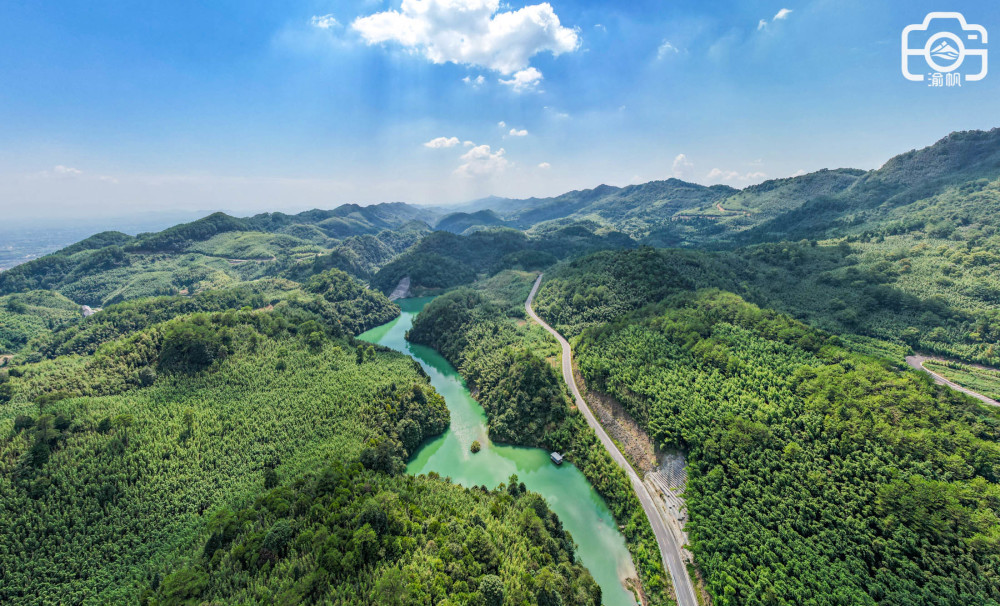 重庆有个百里竹海,位列全国五大竹海之首,是国内最大的寿竹之乡_腾讯