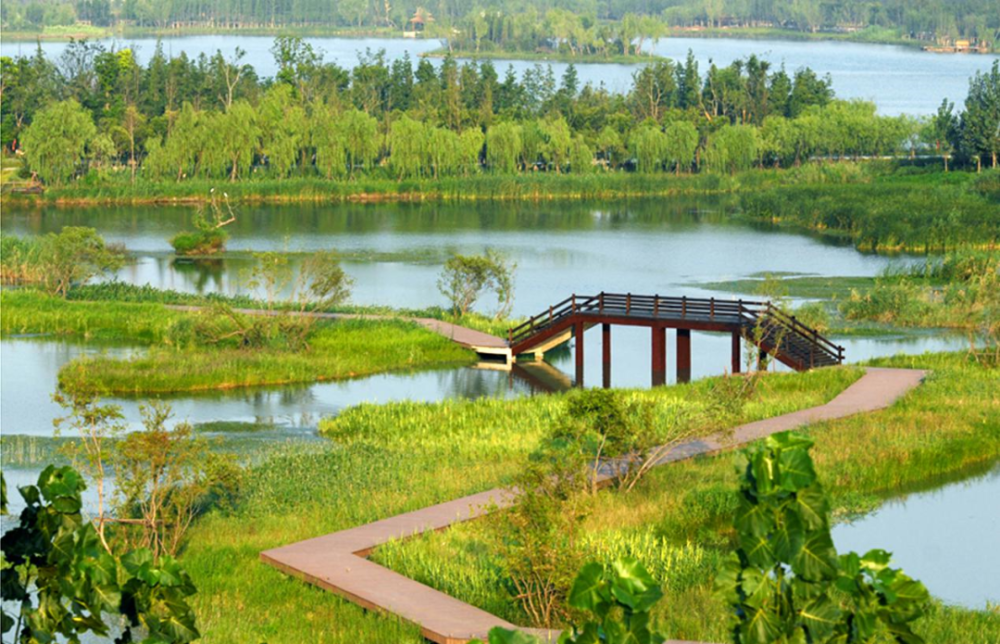 林水相连(潘安湖景区西泽湿地,展现湿地景观特色)随着生态环境的改善