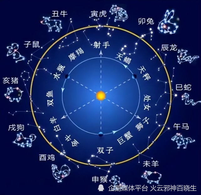 八组风格各异的十二生肖概念插画鉴赏