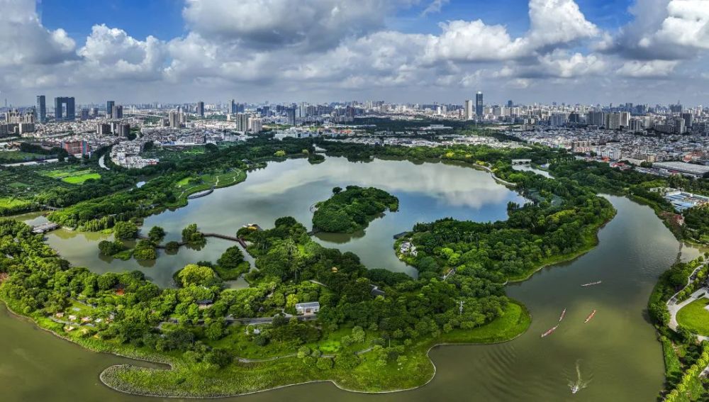 搶先看廣州海珠國家溼地公園年度攝影大賽賽果出爐