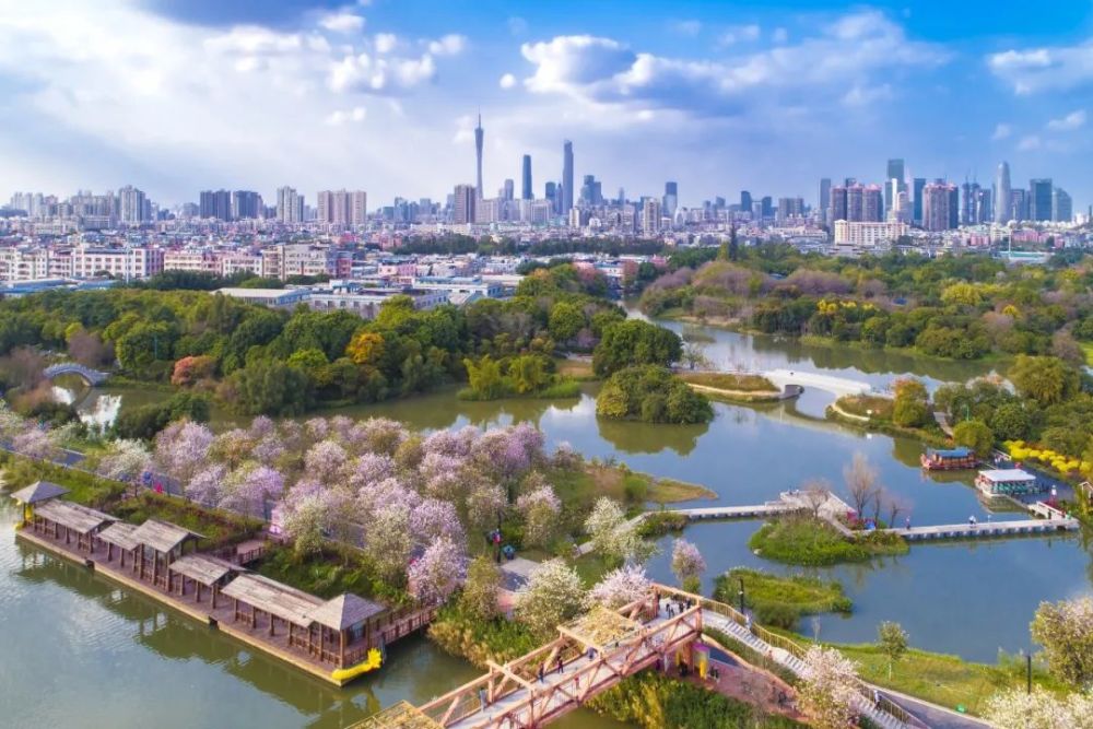 搶先看廣州海珠國家溼地公園年度攝影大賽賽果出爐