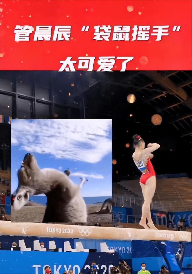 由于管晨辰整套表演中,有一个动作跟网络上很火的"袋鼠摇"类似,因此她