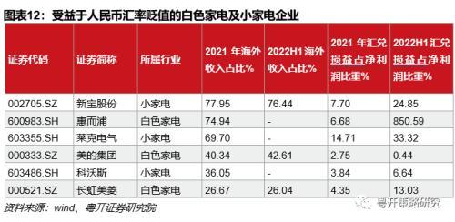 股市币论文人民贬值影响股价吗_人民币贬值对股票市场的影响_人民币贬值对股市影响论文