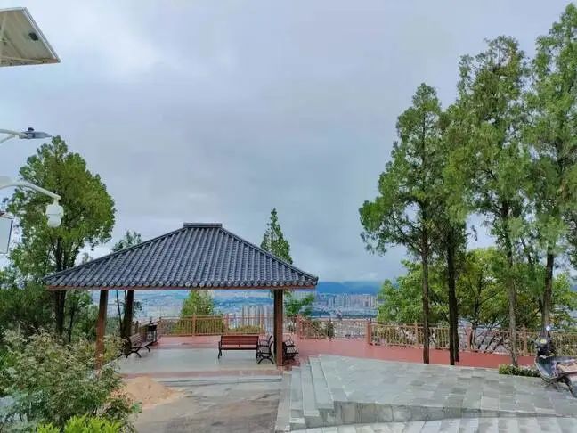 东山公园又美出了新高度