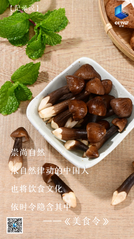 鸡枞菌的"枞"怎么读?这也太鲜美了!_腾讯新闻