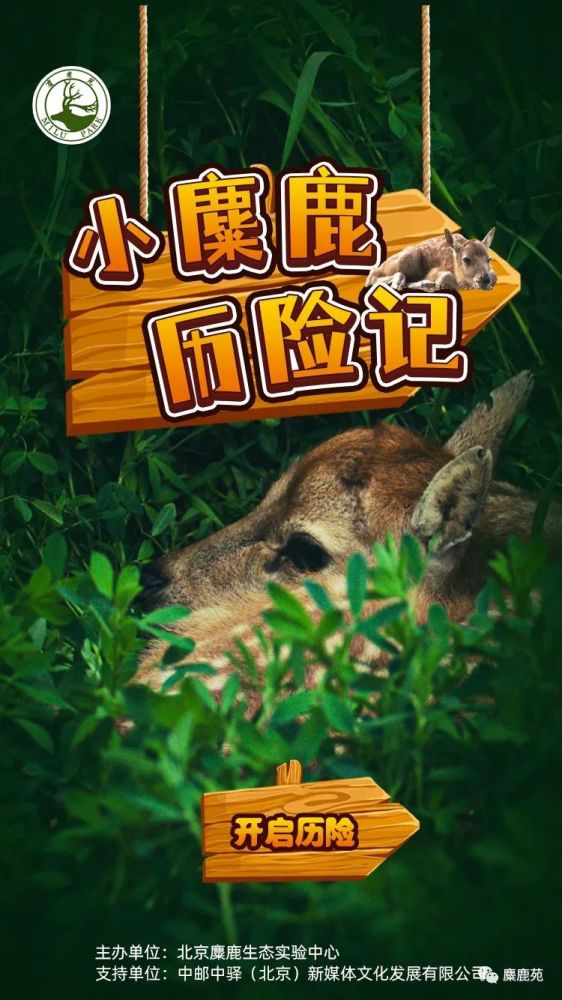 北京科学嘉年华｜联合行动：麋鹿趣味线上闯关游戏来啦！抖音流行歌曲MP3百度网盘