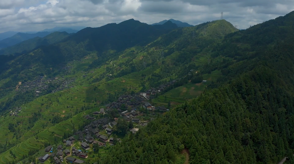 全球连线贵州大山深处制笙人用非遗技艺助推乡村振兴