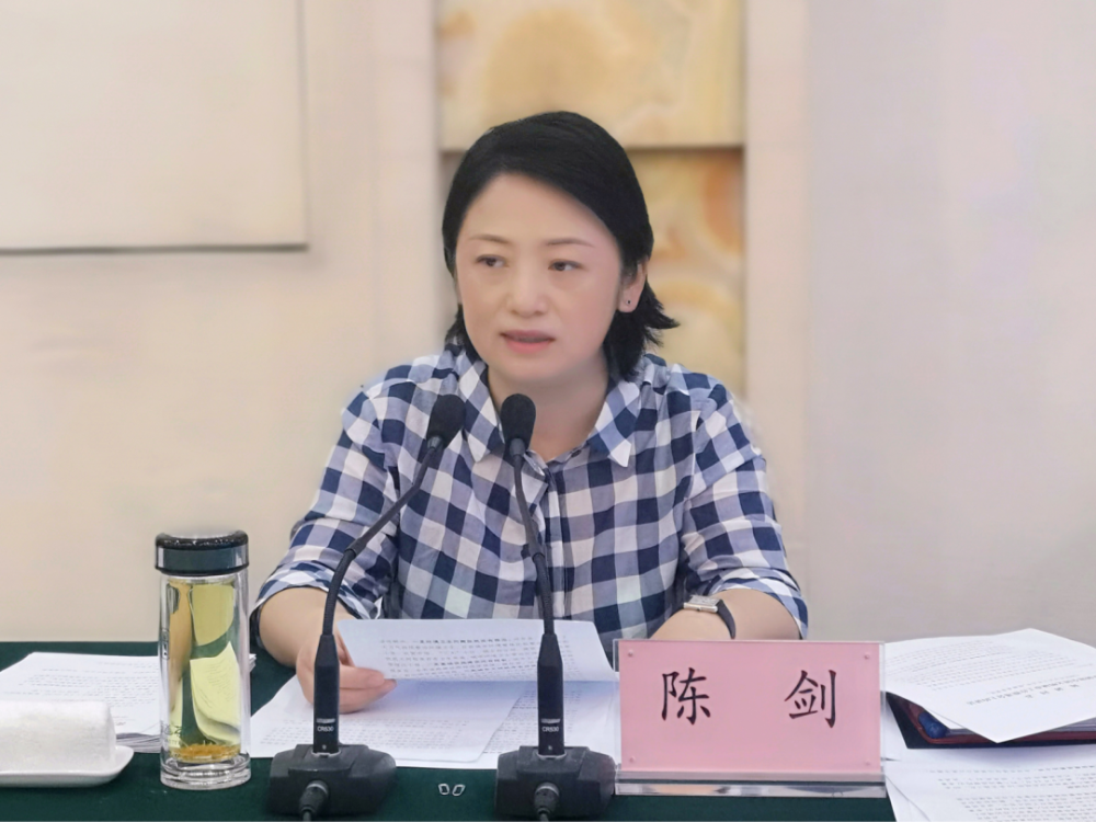 陈剑强调矢志不渝推进全国文明城市创建工作