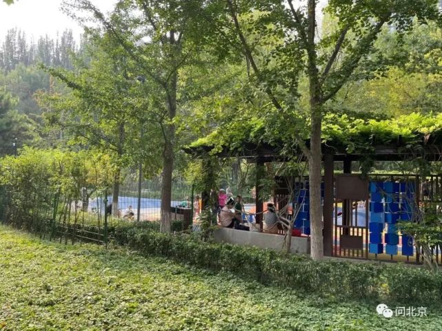 区亮马河公园(河道沿线)也将在今年开园,成为与香河园大绿地相通共融