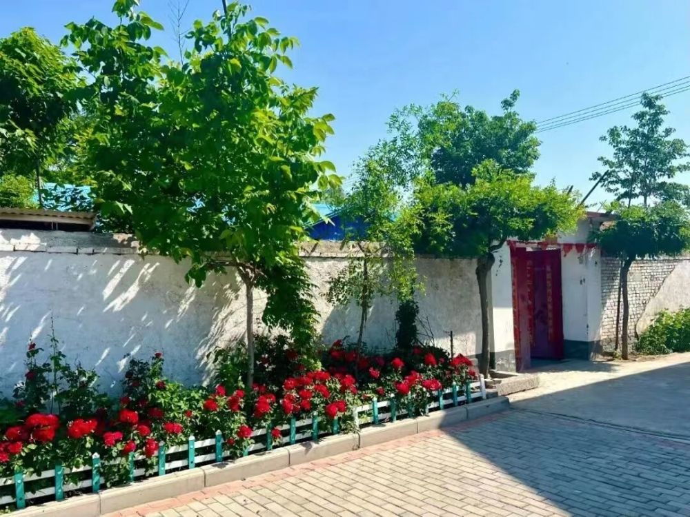 青州市谭坊镇让环境更美好让群众更满意