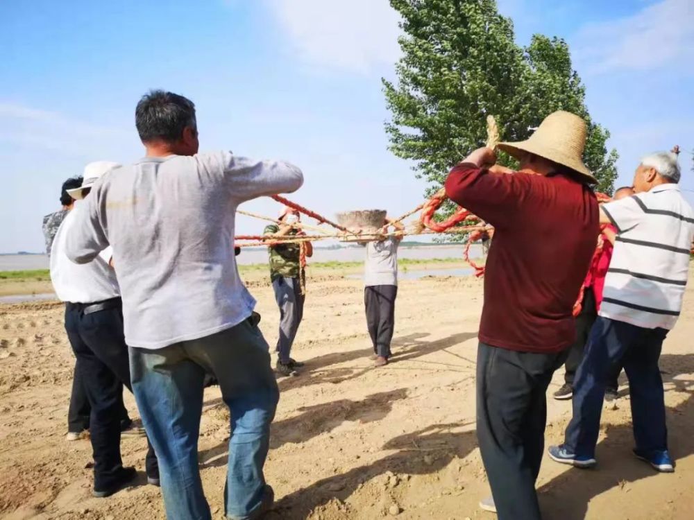 还有一种声音见证了中原儿女治理黄河的过程,它就是黄河打硪号子