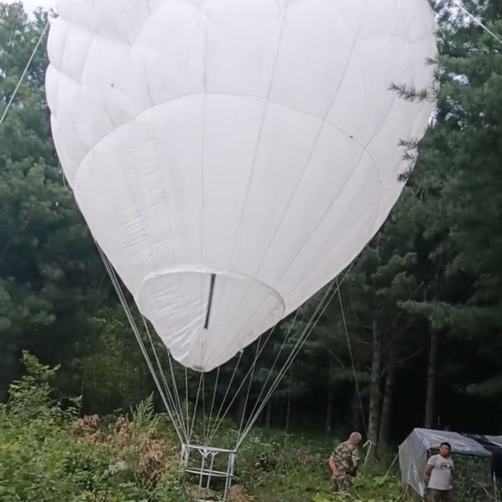 “男子乘氢气球打松塔获救”背后：揭秘东北神秘的“打塔人”