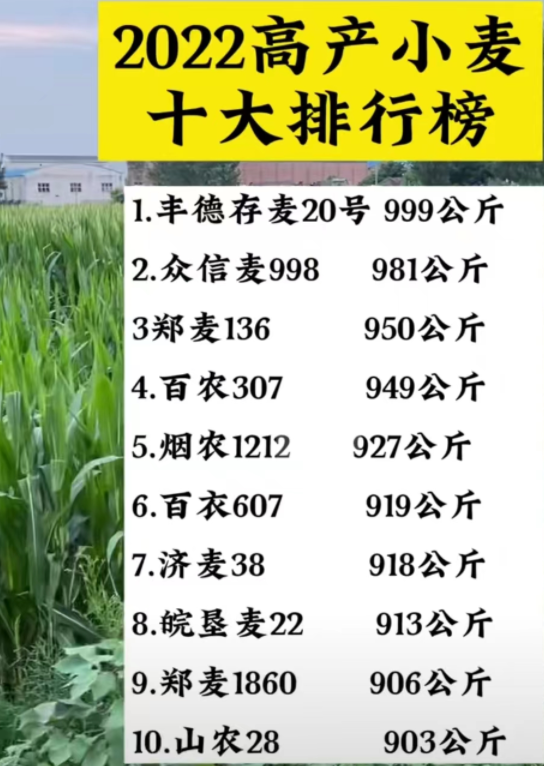 优质品种至关重要,这3个品种建议今年种种
