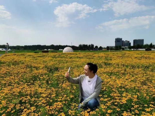 怀柔杨宋镇拆违腾地打造千亩花海景观欢迎游客“来影都过周末”