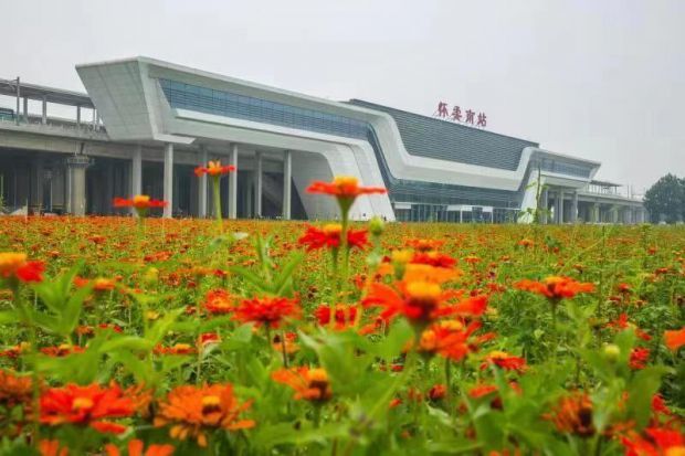 怀柔杨宋镇拆违腾地打造千亩花海景观欢迎游客“来影都过周末”