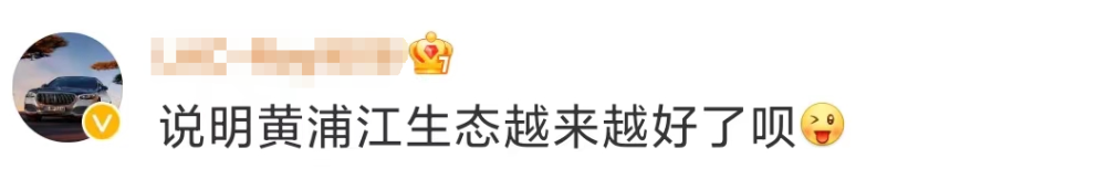 “靠海关吃海关”“靠铁路吃铁路”，盛光祖被开除党籍