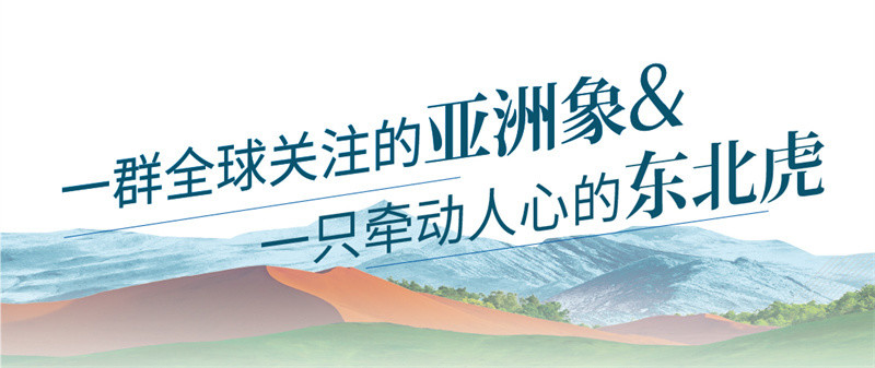 8省区网媒大联动·我在边疆望北京（第三期）丨高黎贡山与大兴安岭的对话直播带货销售额排行榜2022已更新(网易/头条)