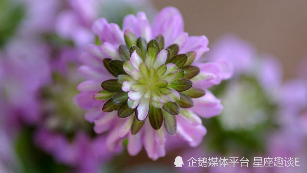 9月日 30日星座运势 劈波斩浪 焕然一新的四大星座 腾讯新闻