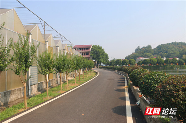 留得住诗意,载得动乡愁,一组图告诉你湖南的现代化新农村有多美