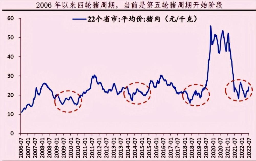 豬肉價格又要起漲國慶前夕兩個上漲因素不可忽視早看早知道