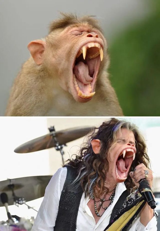 拯救不开心,这16幅趣味p图,让人笑得好大声