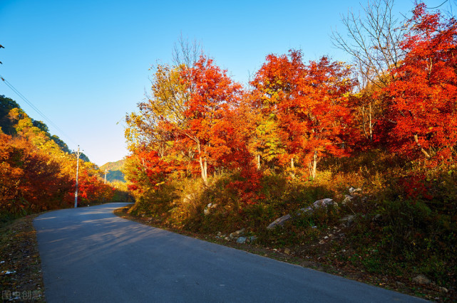 摄影师眼中的秋天在哪国内这10个旅行地每一个都藏着浓郁的秋