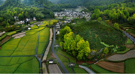 【中國旅遊】落實鄉村振興戰略 推動鄉村旅遊高質量發展!