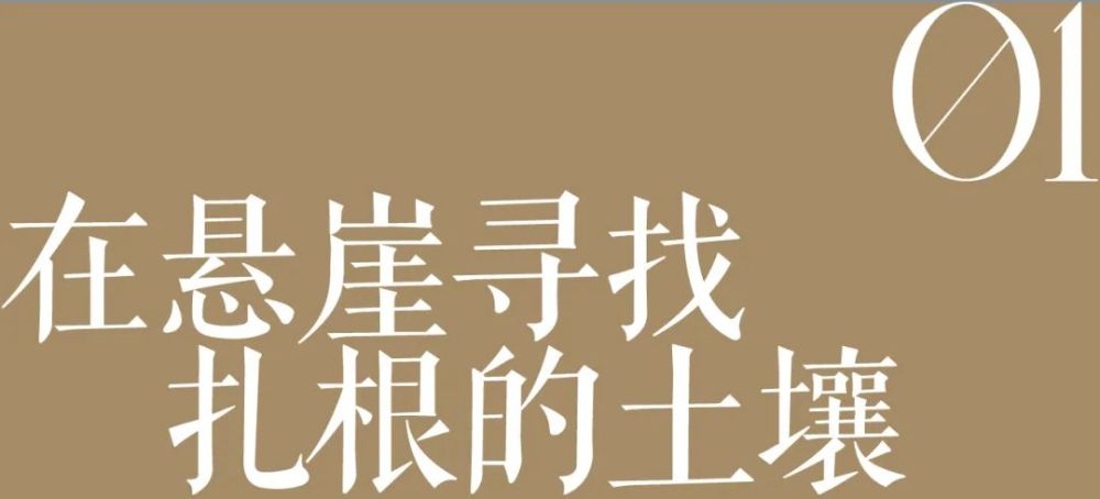 像逆风中的玫瑰般柔韧生长，她凭什么？600578京能热电