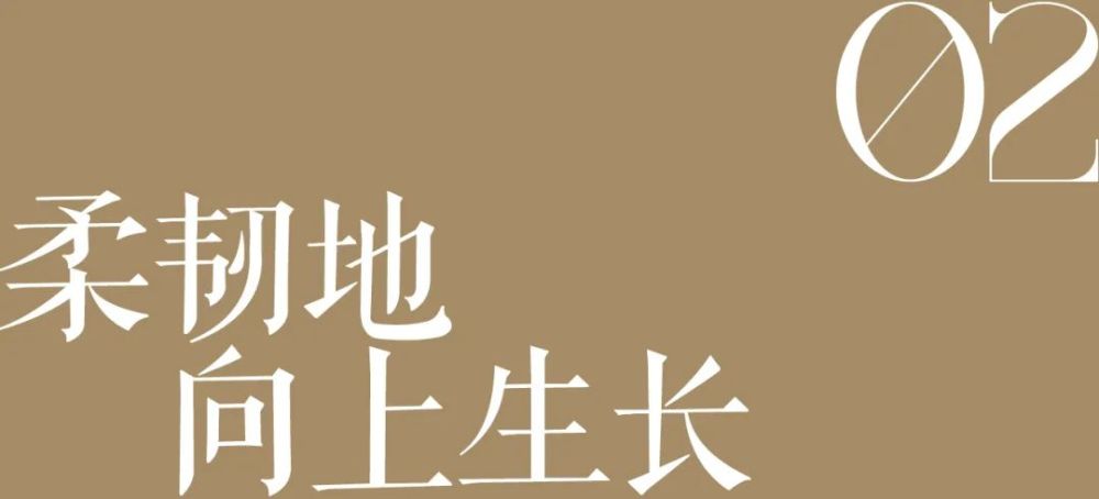 像逆风中的玫瑰般柔韧生长，她凭什么？600578京能热电