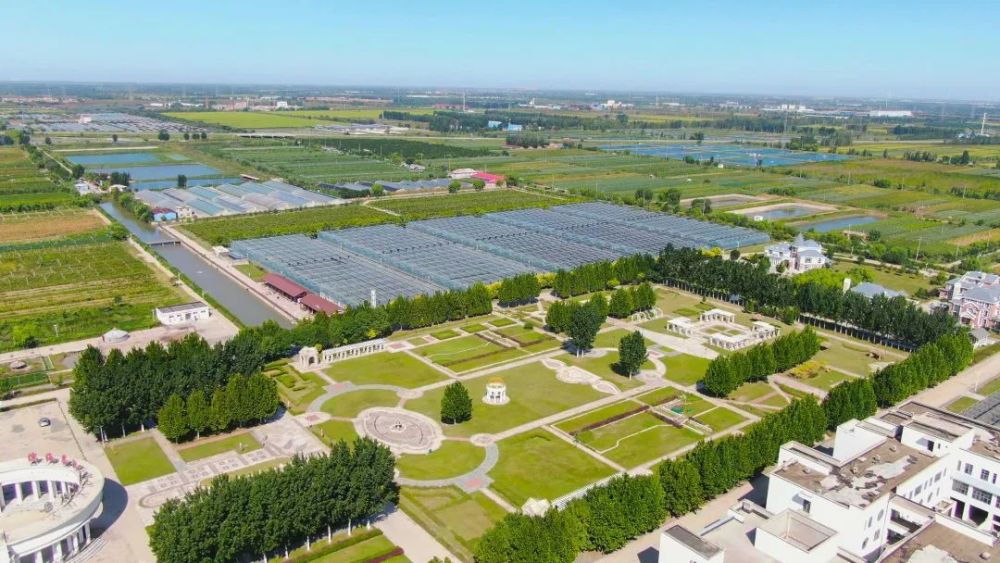 滨海茶淀葡萄文化旅游节"云上"举办_腾讯新闻