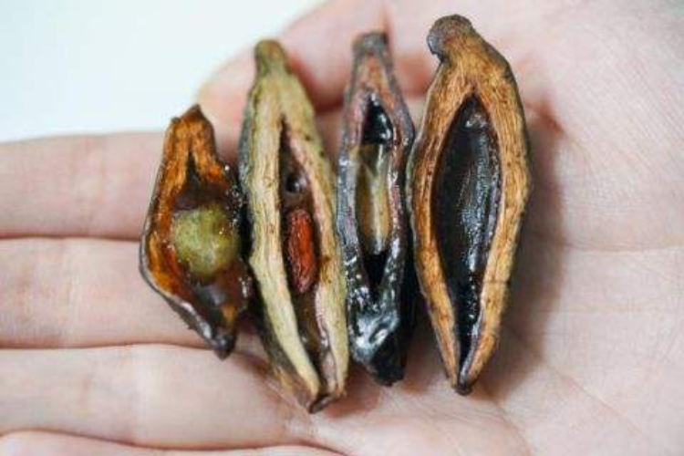 南昌要求不得将槟榔制品作为食品销售曾有综艺删除槟榔广告