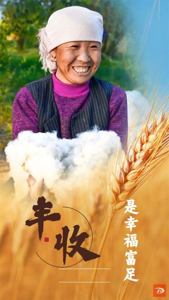 喜迎二十大党水北流话丰年敦煌喜笑颜开迎丰收