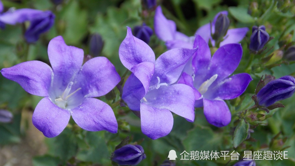 9月22日星座运势 崭露头角 勇者无惧的四大星座 腾讯新闻