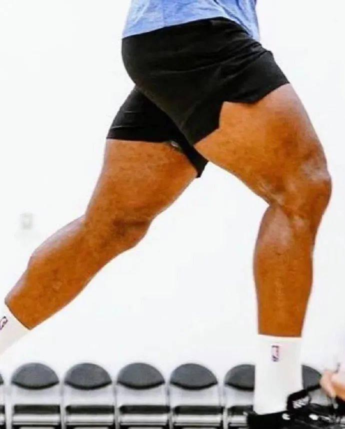 詹姆斯腿部肌肉图片