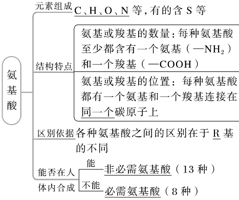 蛋白質的功能知識框架3.