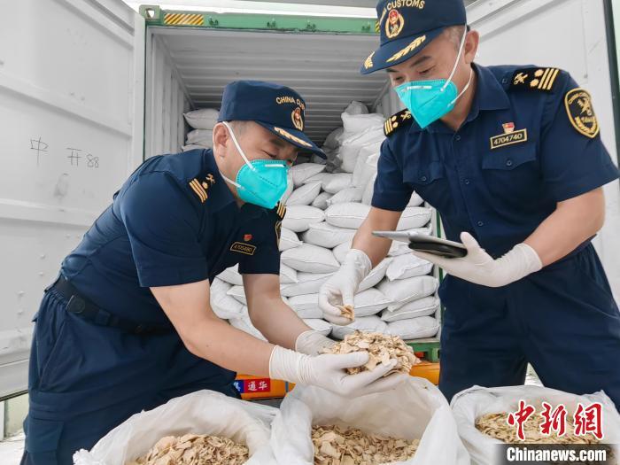湖北魔芋产品远销海外海关助企拓展国际市场