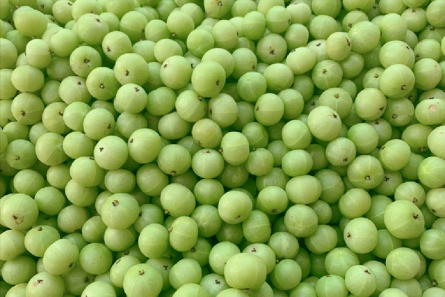 广东余甘果变"余苦果",盲目炒作后"甘尽苦来",谁为恶果买单?