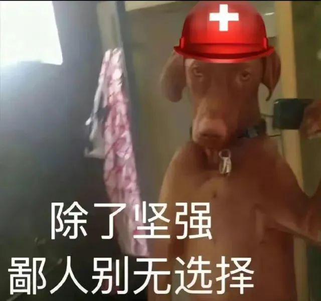 有钱人终成眷属，没钱人亲眼目睹！豪门联姻的不止这一对