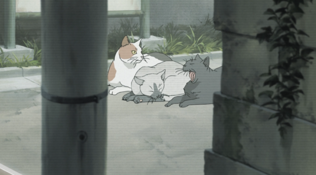 主角们完全是在一个全新的世界，这部动漫即使是现在也相当超前！