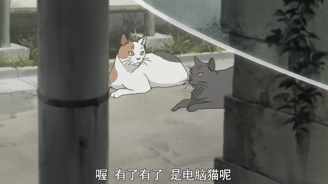 主角们完全是在一个全新的世界，这部动漫即使是现在也相当超前！