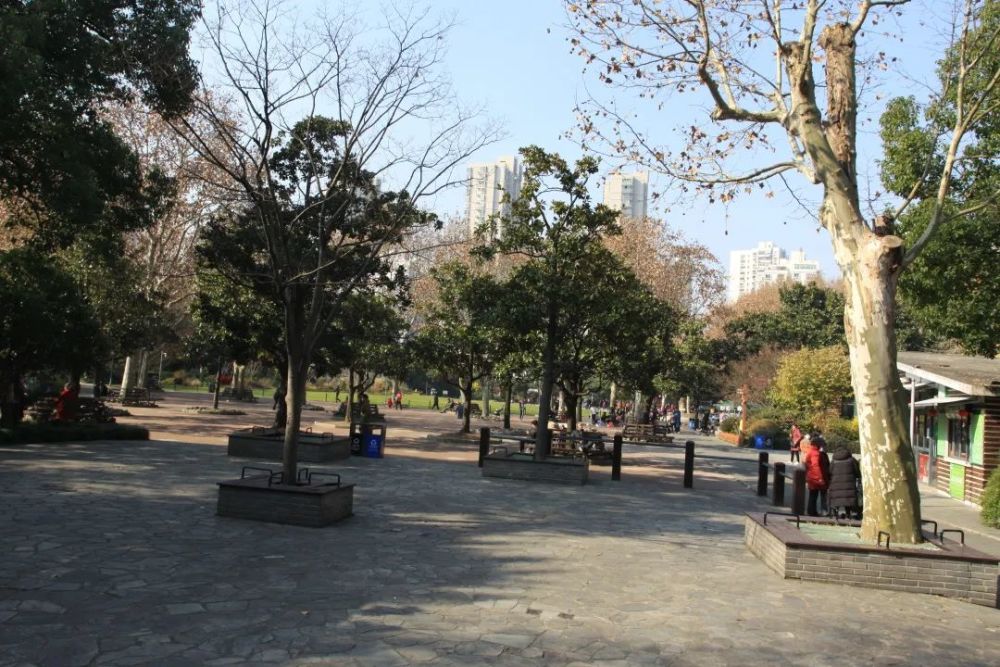 和平公园完成升级开园在即!改造亮点首发预告来了_腾讯新闻