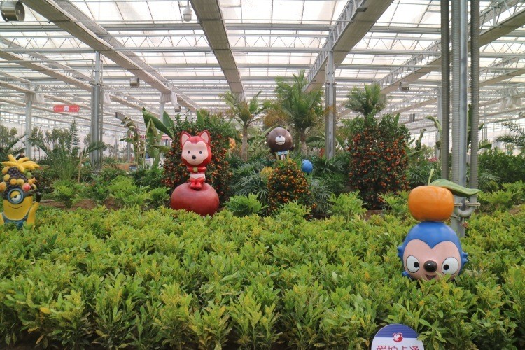 全市唯一南和农业嘉年华入选2022年度省级文明旅游示范单位