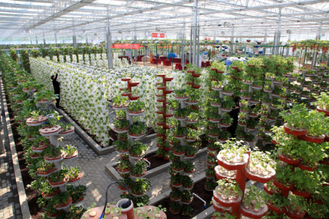 南和农业嘉年华入选2022年度省级文明旅游示范单位