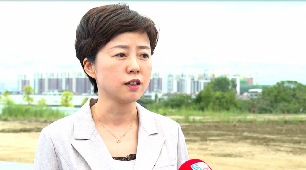 大干一百天围着产业转盯着项目干