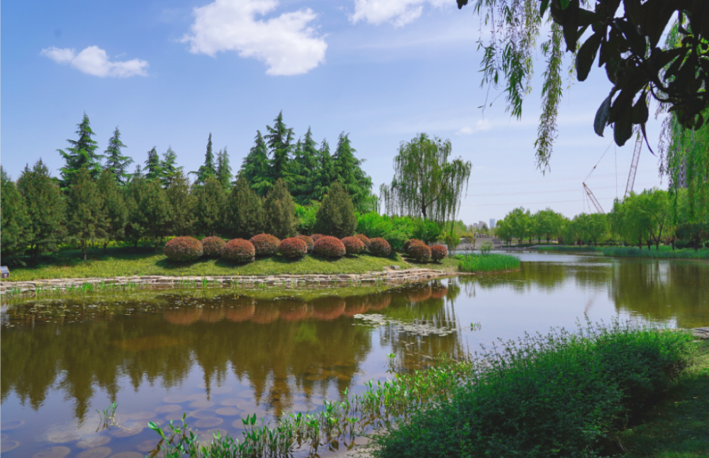 太平河,沣惠渠水系资源,陆续建成皂河生态公园,鹤鸣湖公园,沣惠绿道