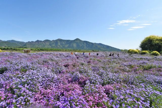 七孔桥花海公园图片