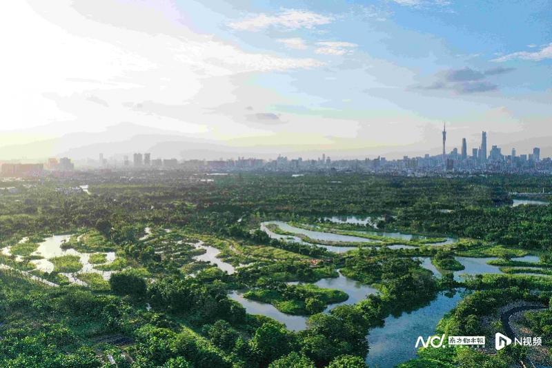 广州湿地总面积约7万公顷，海珠湿地将申报国际重要湿地新概念一音频英音版