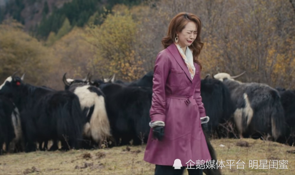 《昆仑神宫》胡八一王凯旋能力被削弱,韩淑娜让导演变俗!_腾讯新闻